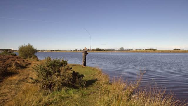 A person fishing by a calm reservoir surrounded by grass and shrubs under a clear blue sky.