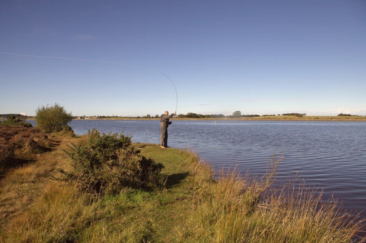 A person fishing by a calm reservoir surrounded by grass and shrubs under a clear blue sky.