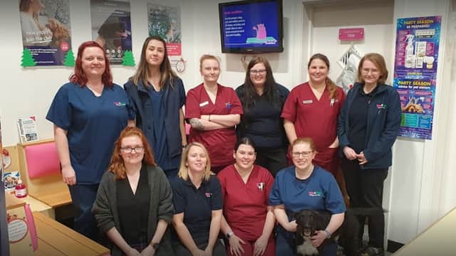 Vets4Pets - Wakefield Westgate - Vets in wakefield