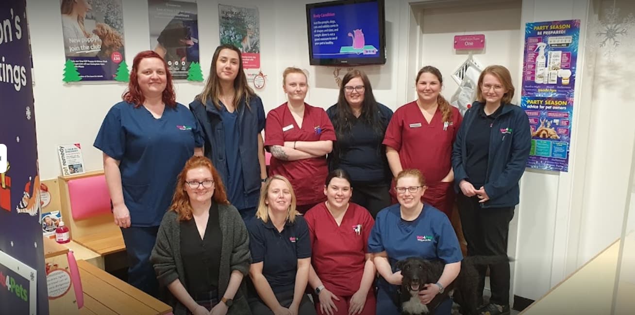 Vets4Pets - Wakefield Westgate