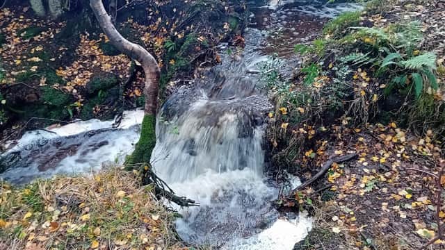 A small waterfall flows over rocks surrounded by autumn leaves and lush greenery in Broadhead Clough nature reserve.