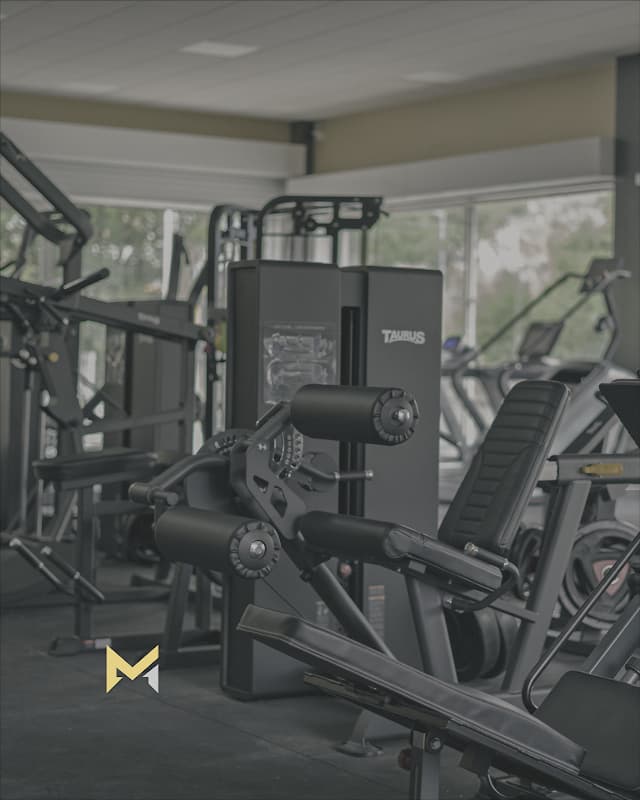 Masterflex Gym