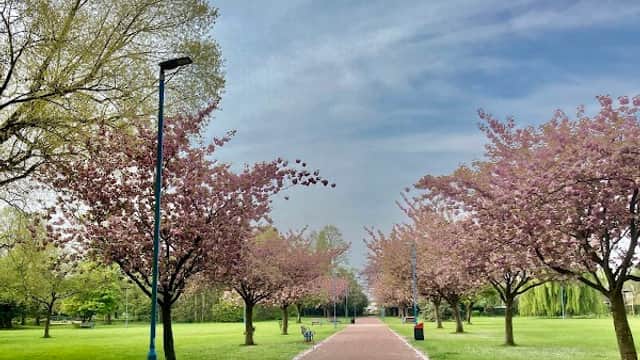 Pallister Park - Park in middlesbrough