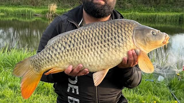 Ferryboat Farm Fisheries - Campsite in mexborough