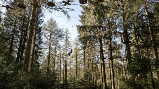 Go Ape Dalby - Activity in dalby forest