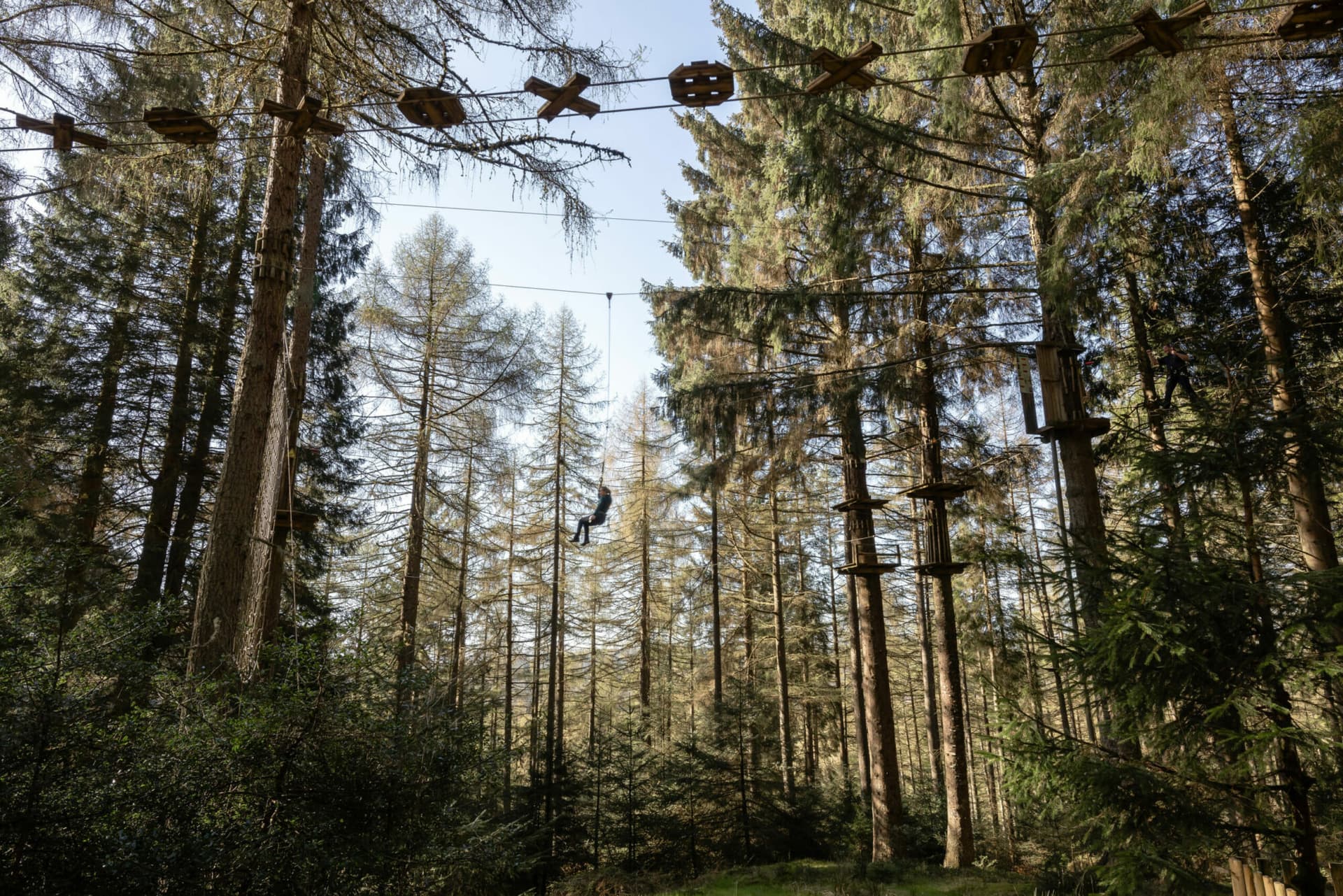 Go Ape Dalby