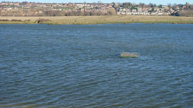 Broomhill Flash Nature Reserve - Nature Reserves in wombwell