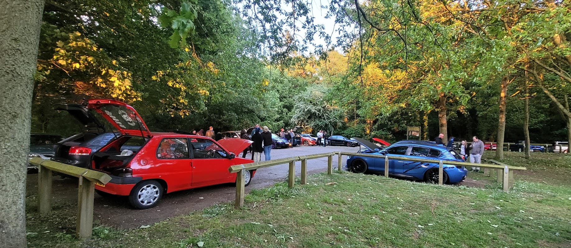 Errington Woods Car Park
