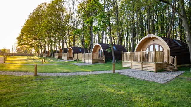 Glamping pods with wooden decks nestled among trees in a serene campsite at sunset in Wighill, Yorkshire.