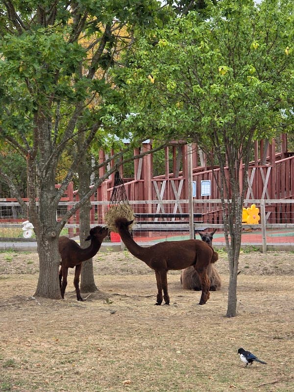 Gulliver's Mini Farm