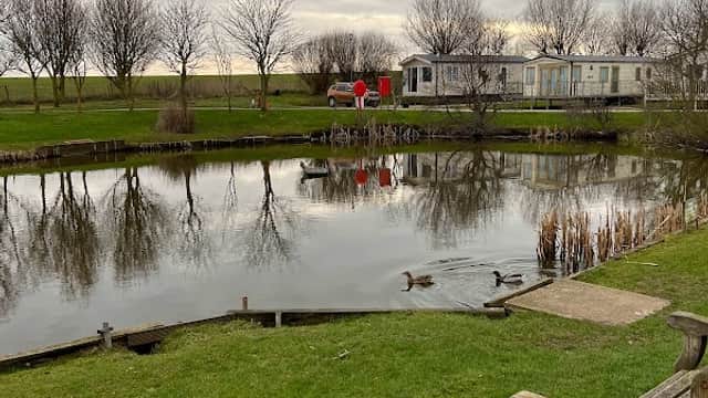 A tranquil pond reflects trees and a holiday home, with ducks swimming nearby and a bench in the foreground.