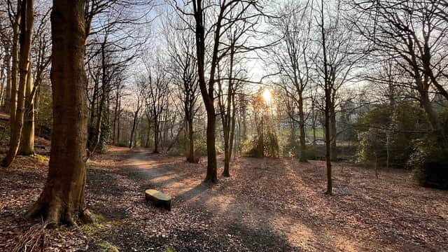 Gledhow Valley Woods - Park in moortown