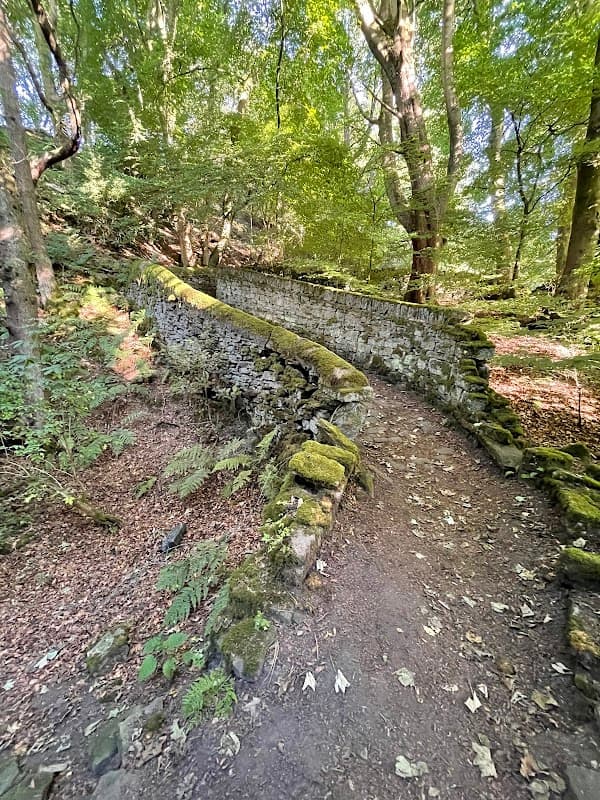 Jackson bridge