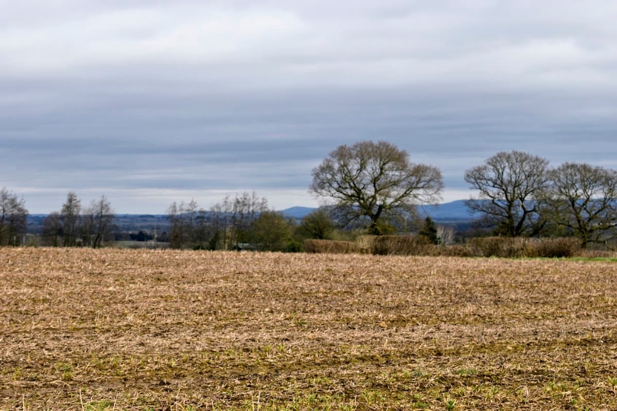 Gibbet Hill