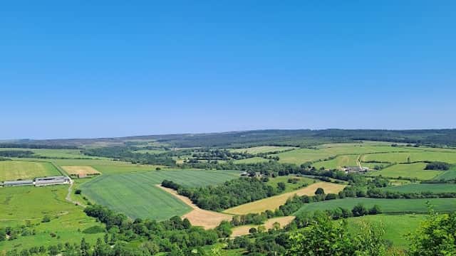 Vast green fields and trees under a clear blue sky, with rolling hills in the distance.