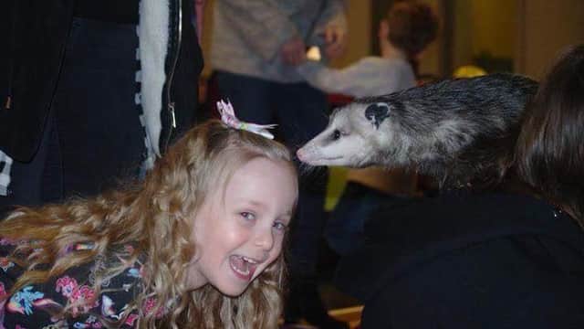 Animal Ark Travelling Zoo & Education Centre - Zoos in maltby