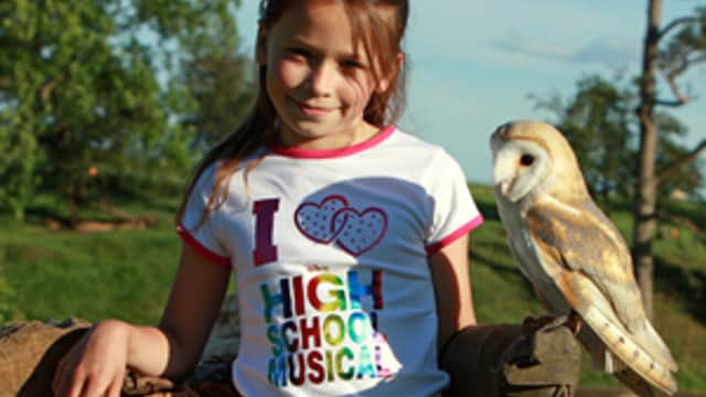 Falconry UK Birds of Prey Centre - Attraction in kirby wiske
