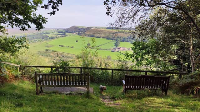 Two wooden benches overlook a lush green valley with rolling hills, framed by trees and a clear blue sky.