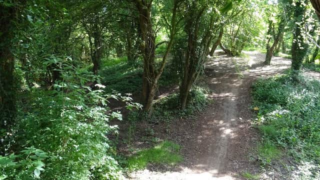 Adwick le Street Castle Hills - Castles in doncaster