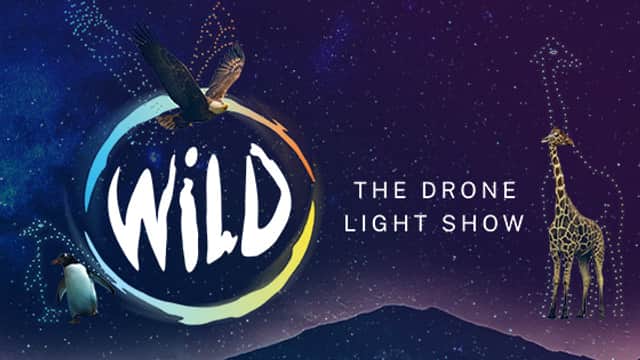 WILD: The Drone Light Show - South Yorkshire - Family Attraction in wentworth