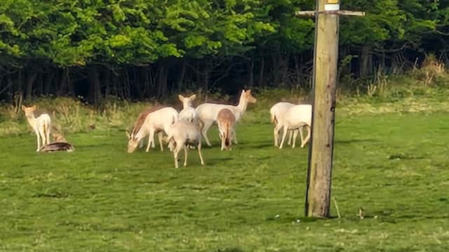 Thorngumbald Parish Council - Car Parks in thorngumbald