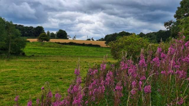 Wetherby Bike Track - BMX Tracks in wetherby