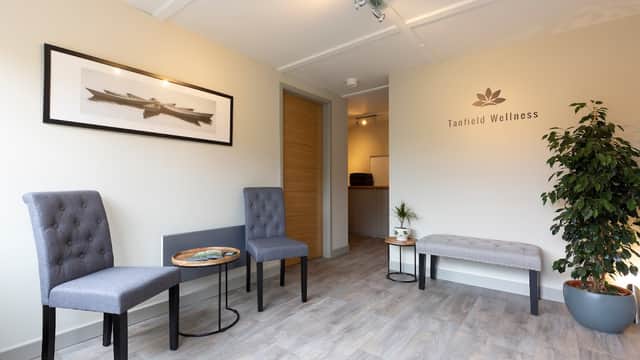 Welcoming interior of Tanfield Wellness with two gray chairs, a small table, a plant, and a framed artwork on the wall.