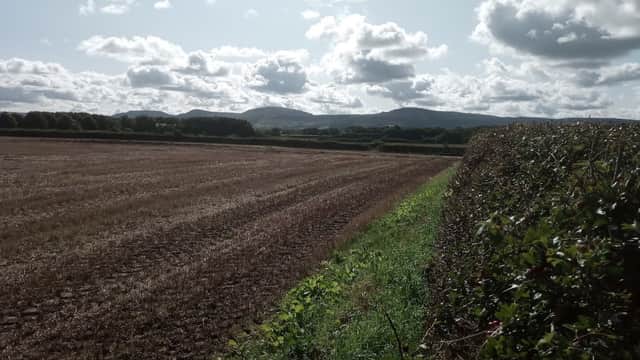 Rolling hills in the distance, a harvested field in the foreground, and a hedge lining the right side under a cloudy sky.