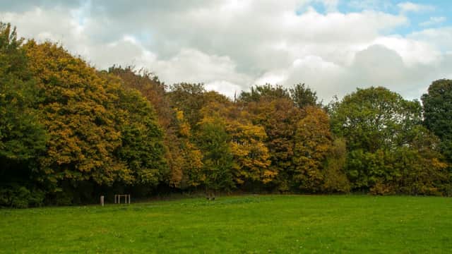 Lush green field bordered by trees displaying autumn colors under a partly cloudy sky.