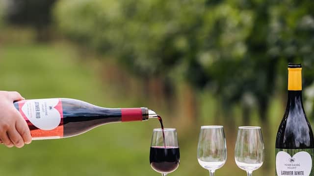 A hand pours red wine into a glass, with empty glasses and a wine bottle on a table near vineyard rows.