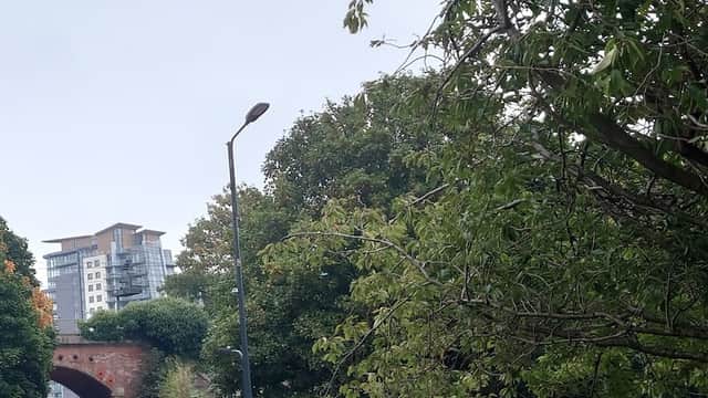 St John's Park - Park in leeds