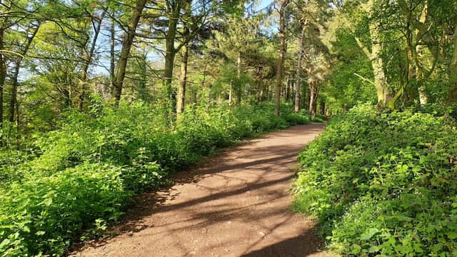 Errington Wood - Park in marske