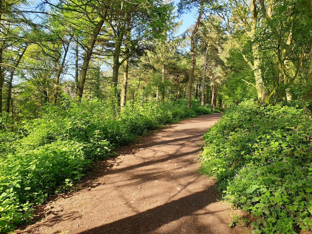 Errington Wood