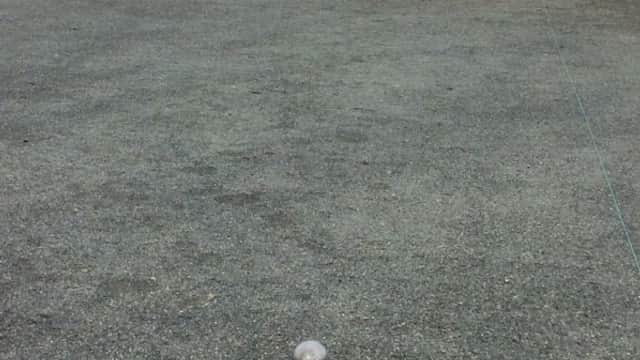 Wetherby Petanque Club - Sports Venue in wetherby