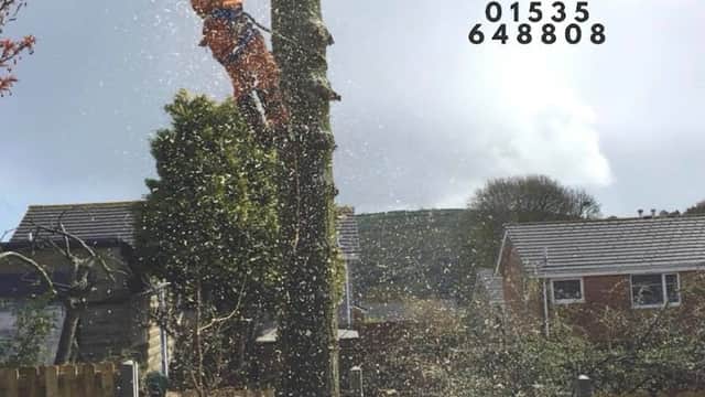 Tree service worker in safety gear trimming a tall tree, with houses and a logo in the background.