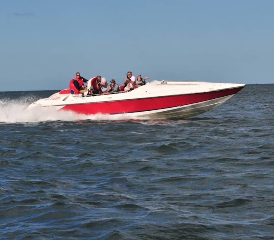 Wave Rider & Wave Runner