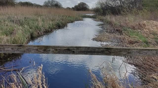 Footbridge over a calm river, surrounded by tall grasses and trees under a partly cloudy sky.