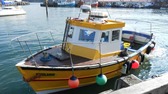 Skylark Fishing & Charters - Activity in scarborough