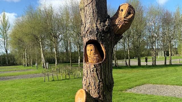Nurseries Caravan Park, York - Campsite in york