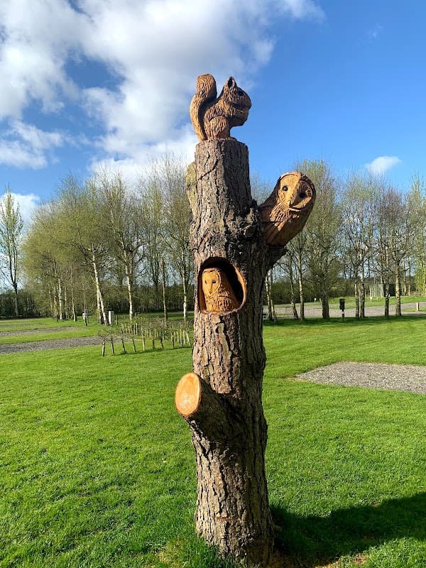 Nurseries Caravan Park, York