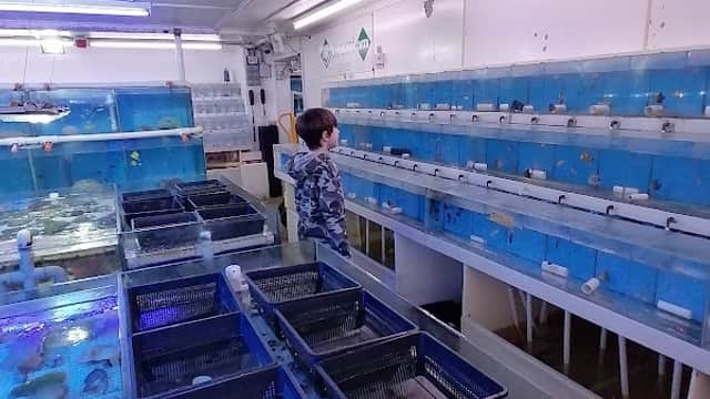 K K C - Pet Shops in hessle