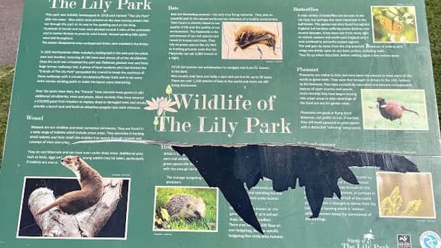 Signboard detailing wildlife in The Lily Park, featuring images of animals and information about the park's ecology.