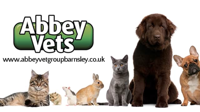 Abbey Vets - Vets in bolsterstone ewden village
