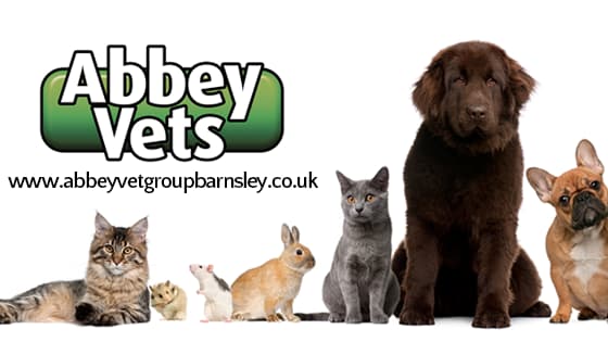 Abbey Vets