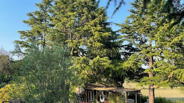 Hideaway Treehouse Retreat - Spa in featherstone