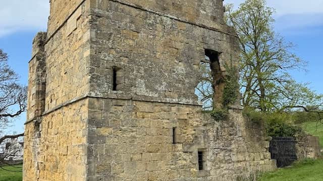 Historic stone structure of Ayton Castle surrounded by green grass and trees under a blue sky.