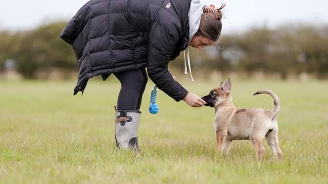 Hollym Secure Dog Walking Field - Park in withernsea