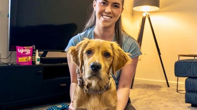 The Vet Pet Nurse - Vets in middlesbrough