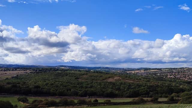 Wombwell woods - Park in wombwell