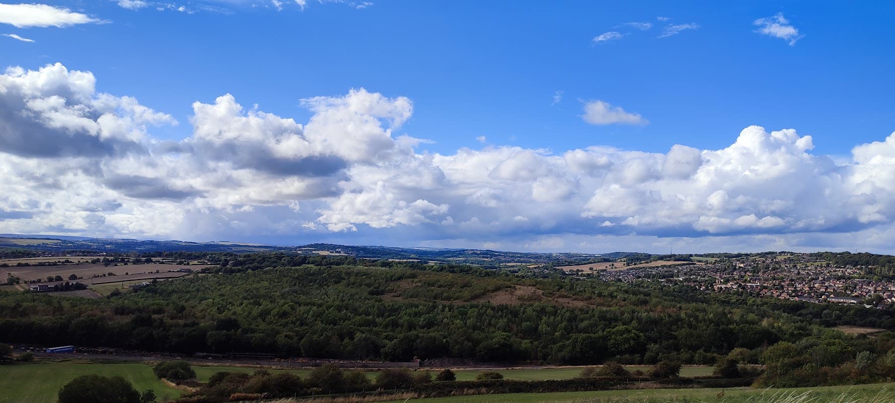 Wombwell woods